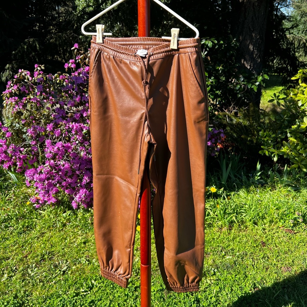Faux leather brown pants with draw string.